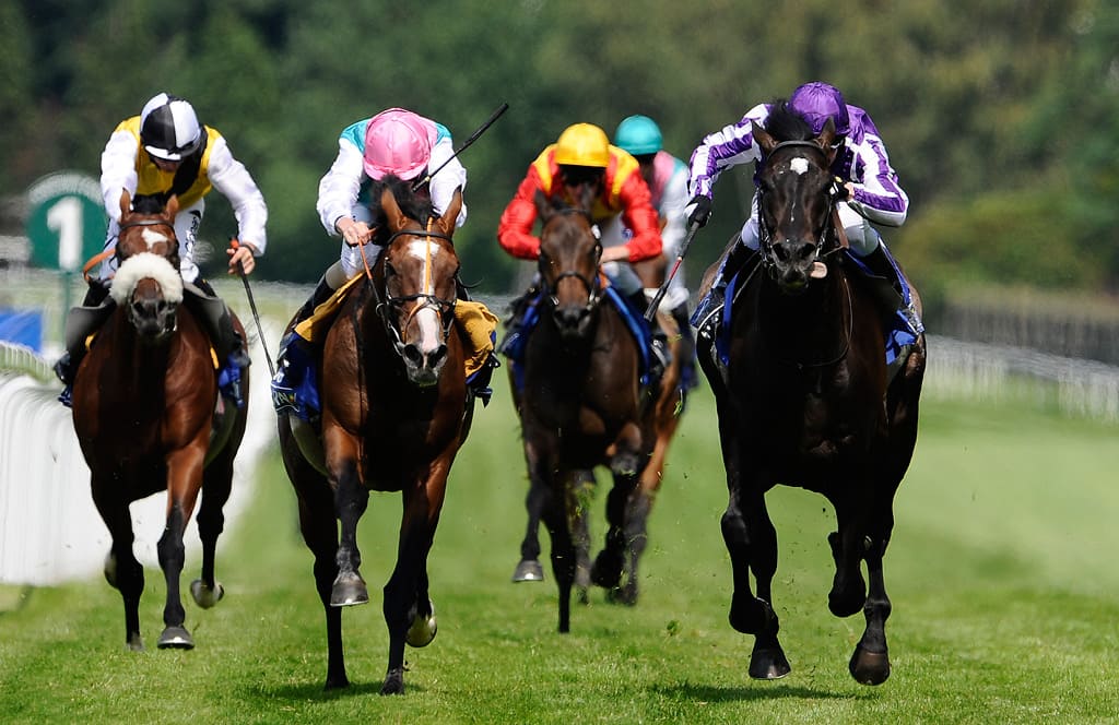 Apuestas en panes de carreras de caballos