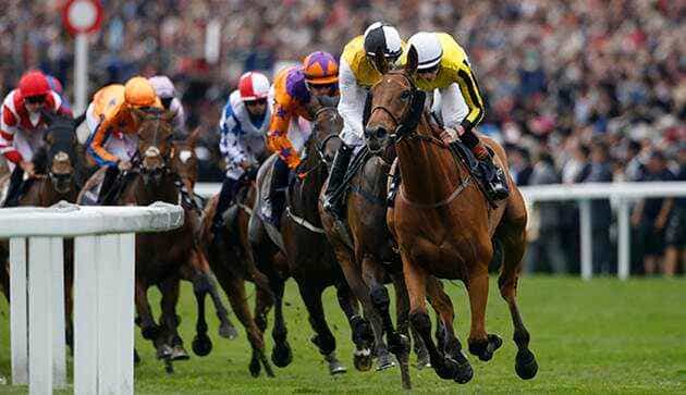 Royal Ascot Betting